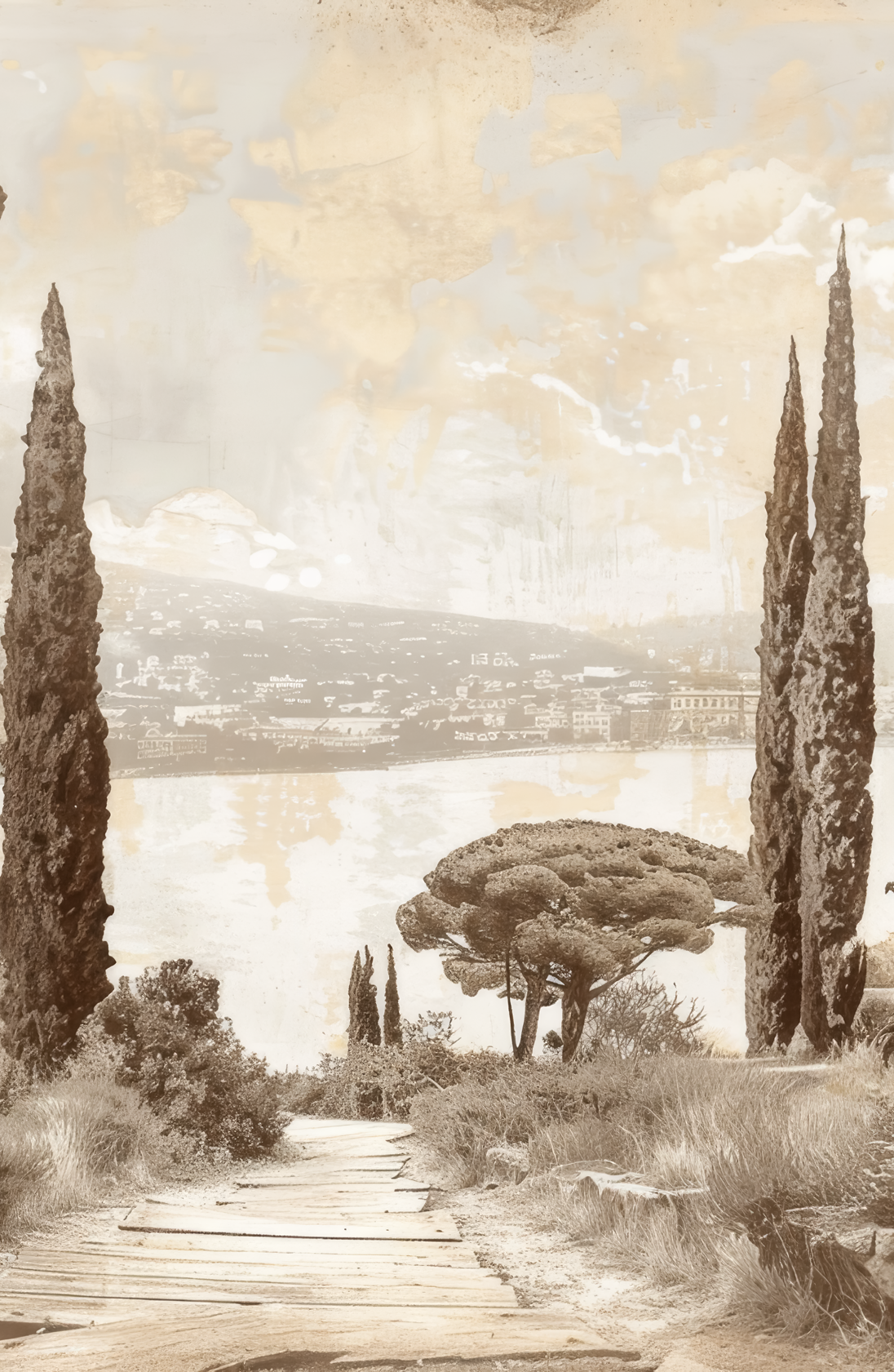 Image croppée