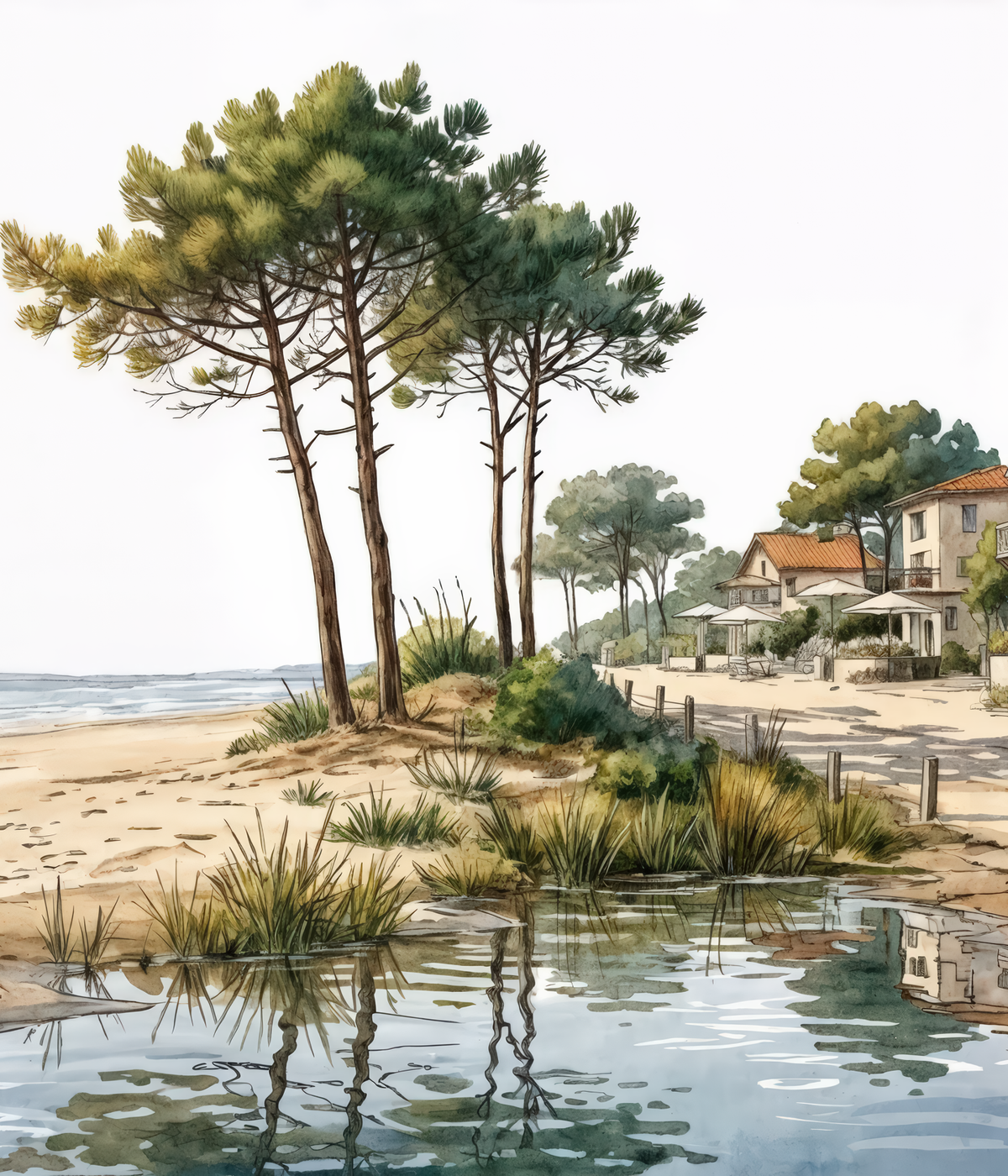 Image croppée