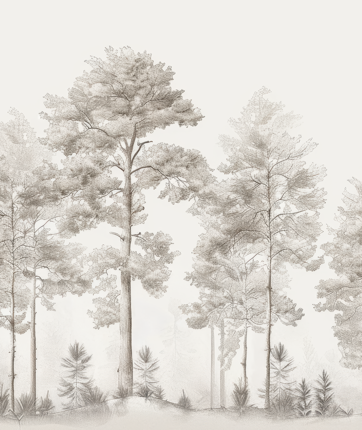 Douceurs des bois