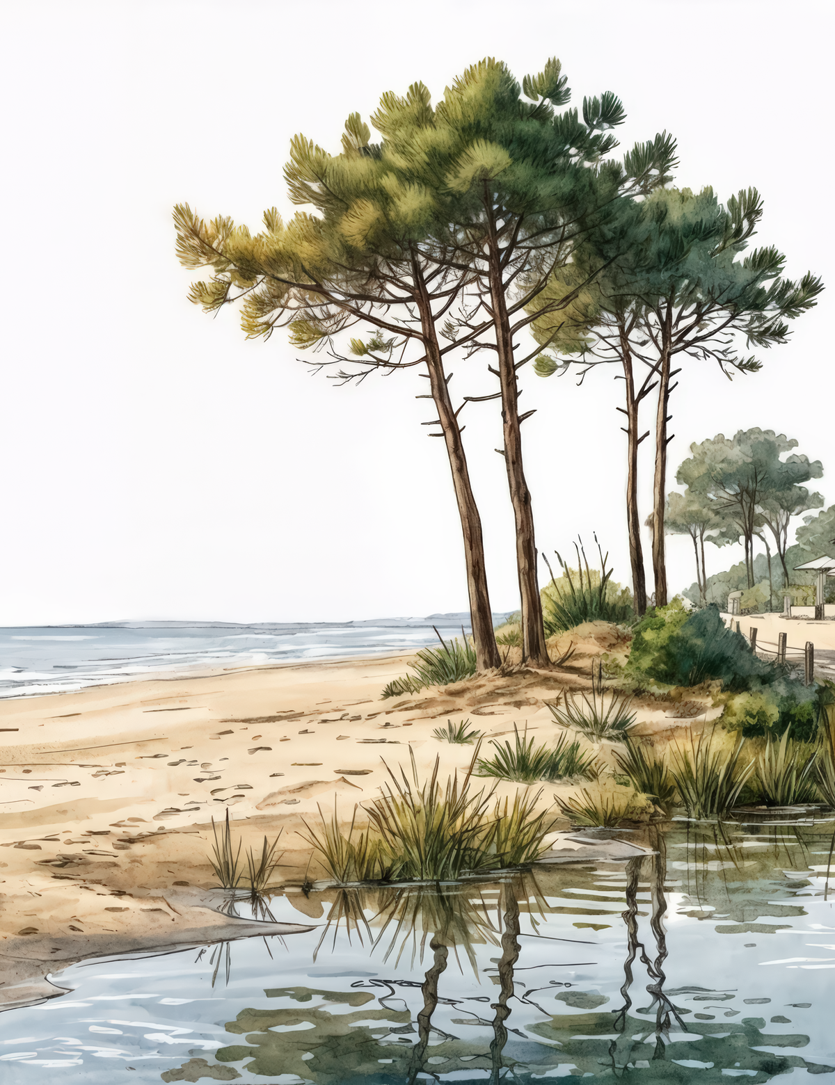 Image croppée