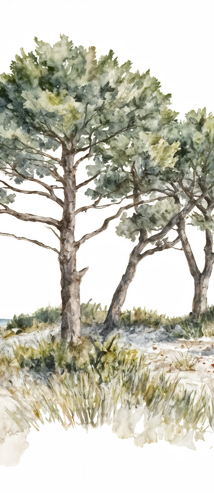 Brise des dunes