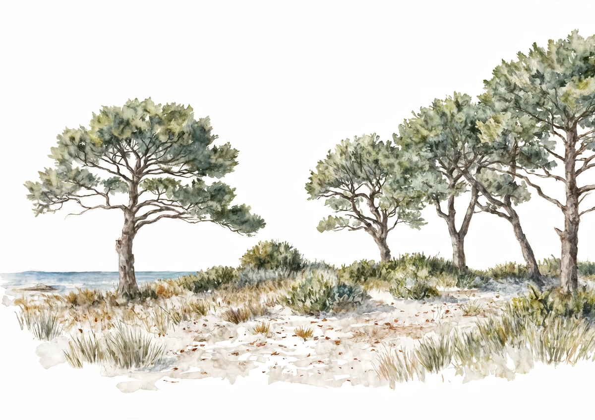 Brise des dunes