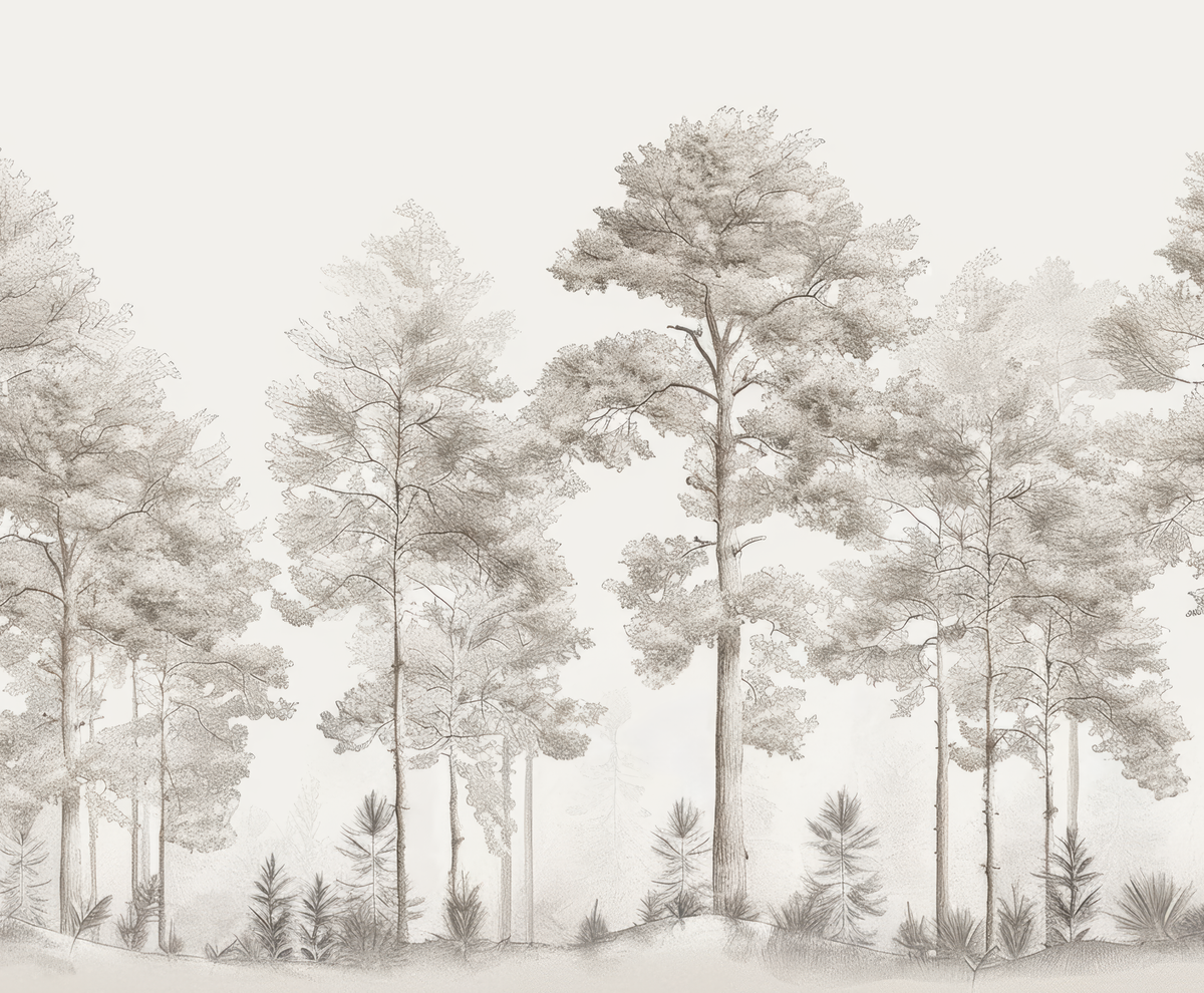Douceurs des bois