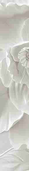Delicatesse en Blanc : papier peint à motif de fleurs en 3D - Illulart: Papier peint panoramique