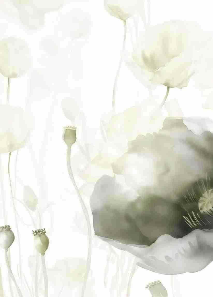 Délice Printanier : Coquelicots Verts et Crème - Illulart: Papier peint panoramique