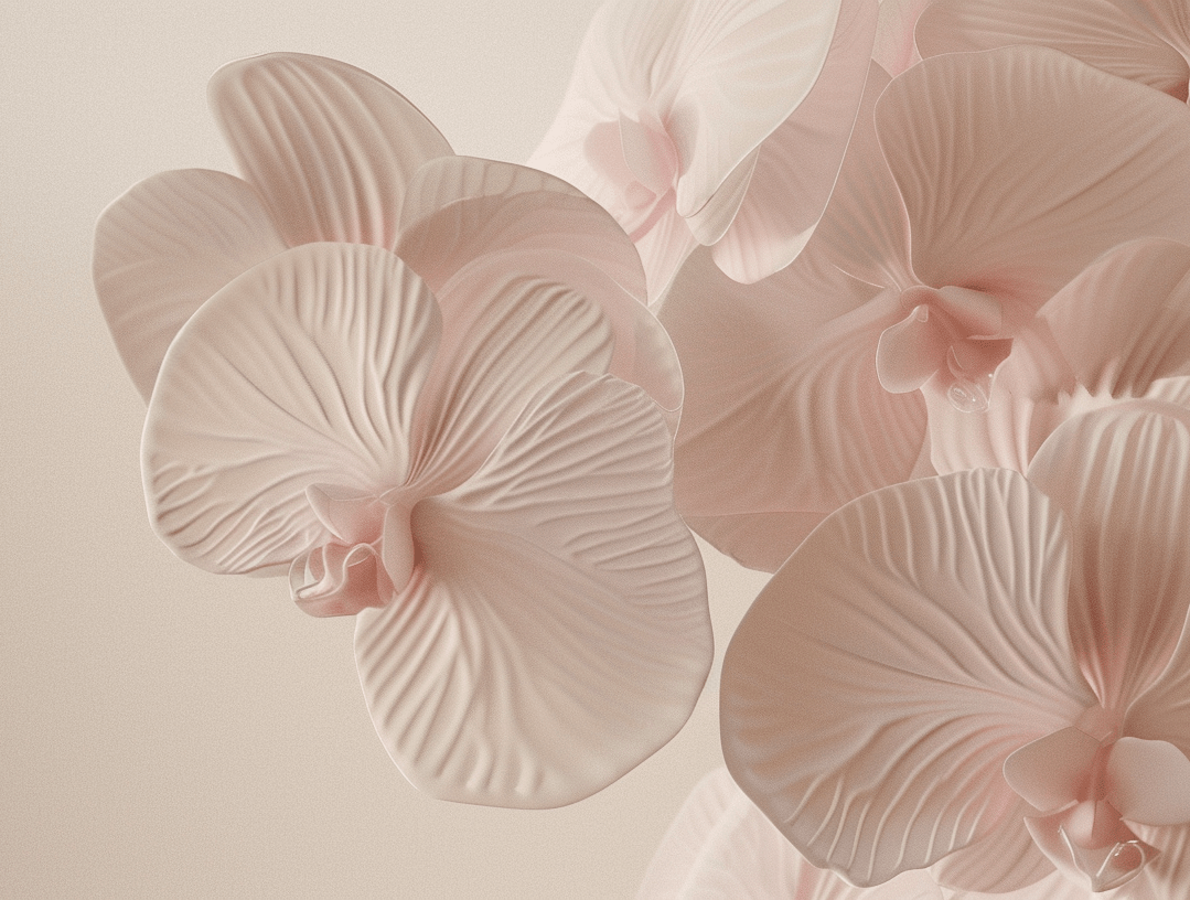 Douces Orchidées - Illulart: Papier peint panoramique