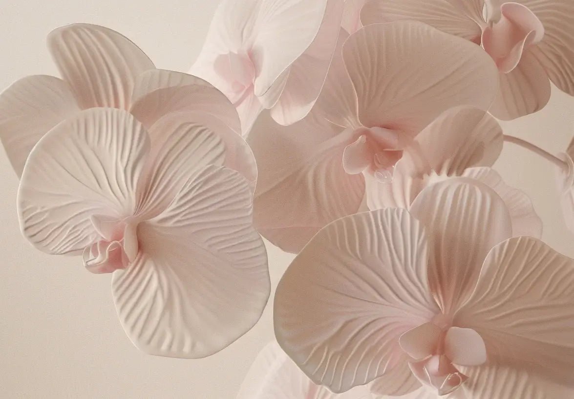 Douces Orchidées : Papier peint panoramique rose poudré - Illulart: Papier peint panoramique