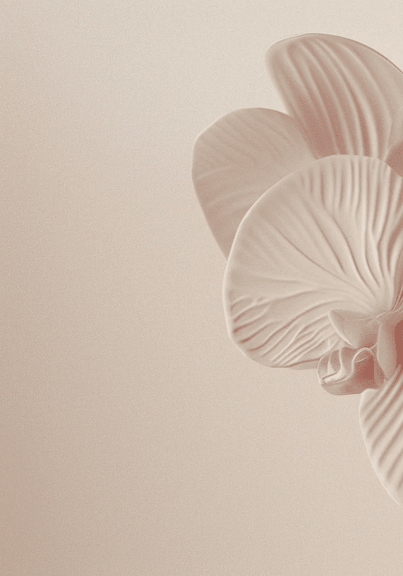 Douces Orchidées : Papier peint panoramique rose poudré - Illulart: Papier peint panoramique