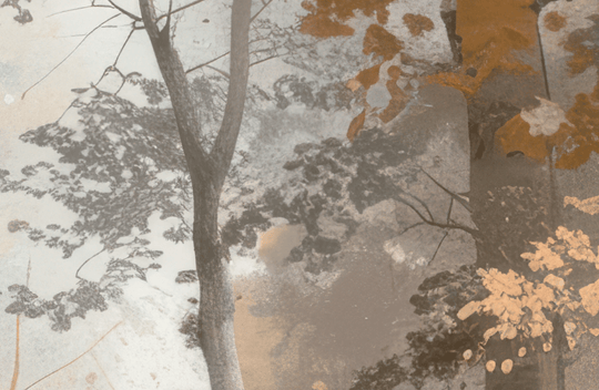 Douceur d'Automne: Papier Peint Forêt et Brume Matinale - Illulart: Papier peint panoramique