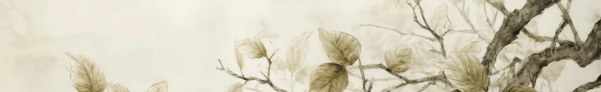 Douceur de l’arbre – Papier Peint Branches Délicates au Feuillage Tendre