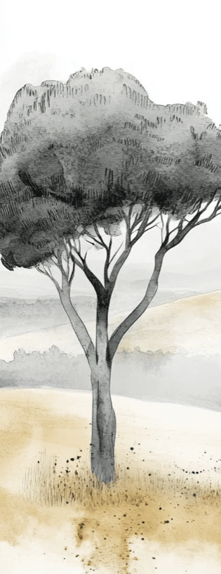 Douceur des Collines toscanes - Illulart: Papier peint panoramique