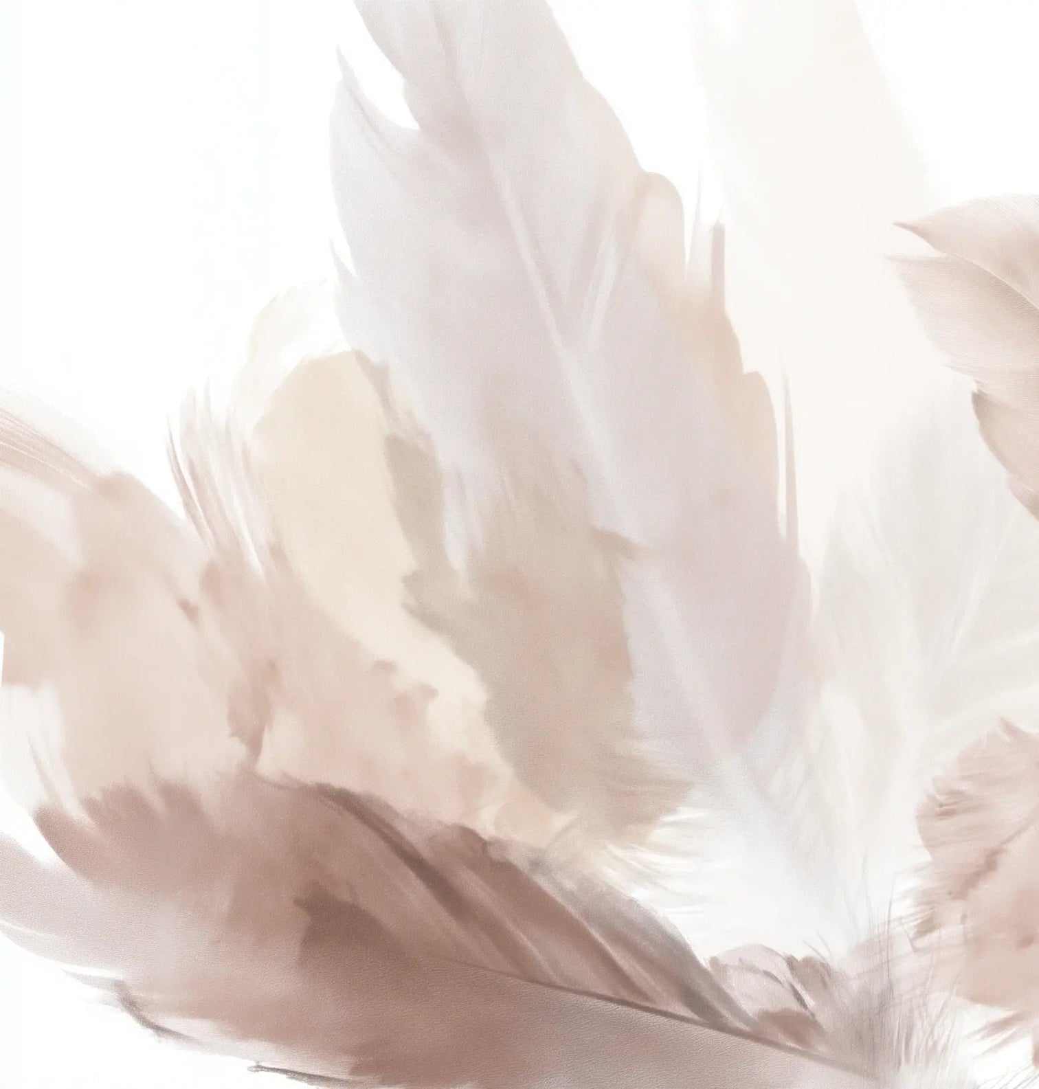Douceur suspendue - Papier peint panoramique plumes pastel en nuances beiges - Illulart: Papier peint panoramique