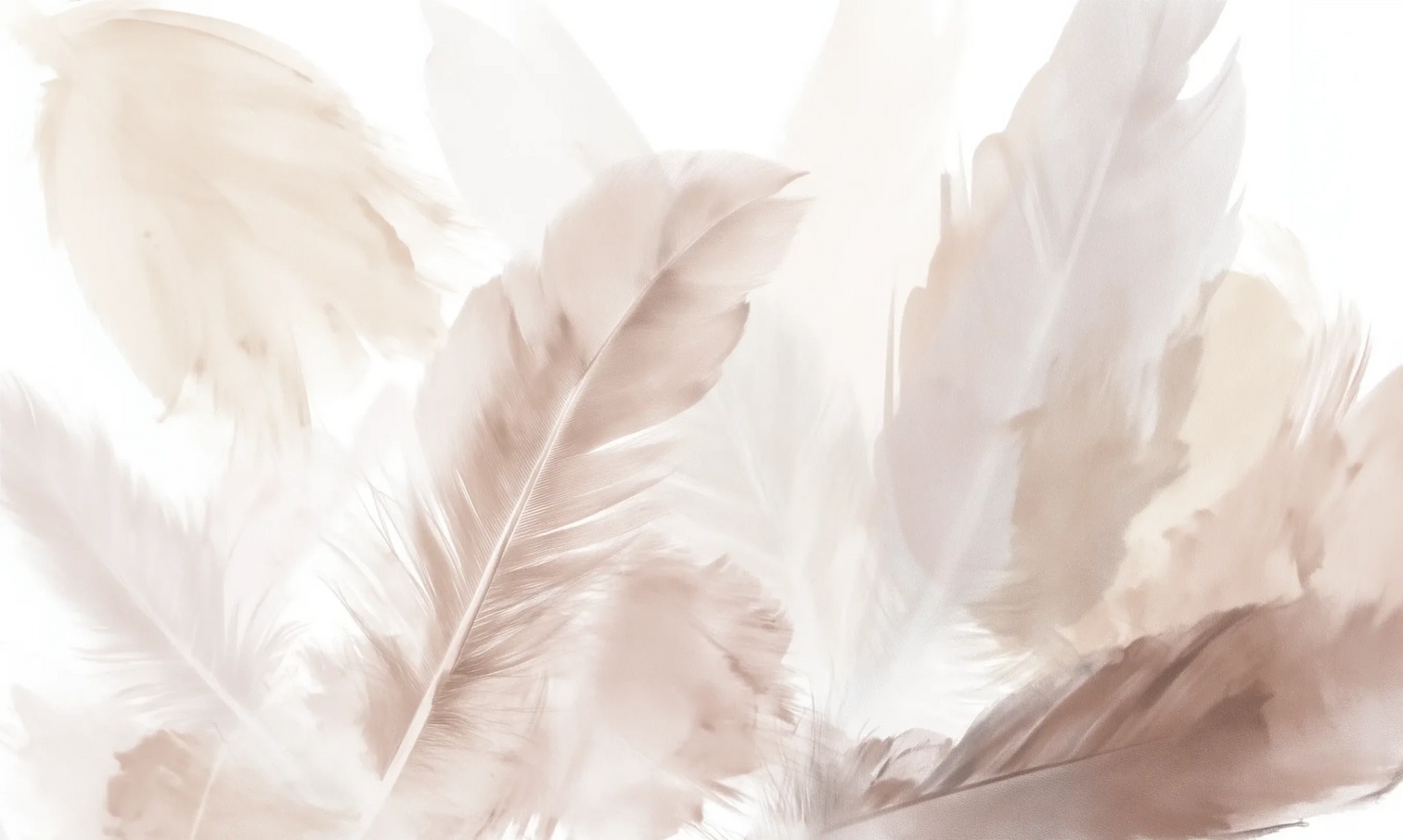 Douceur suspendue - Papier peint panoramique plumes pastel en nuances beiges - Illulart: Papier peint panoramique