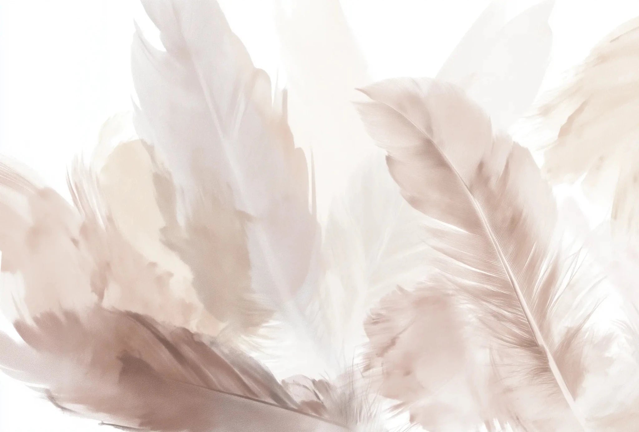 Douceur suspendue - Papier peint panoramique plumes pastel en nuances beiges