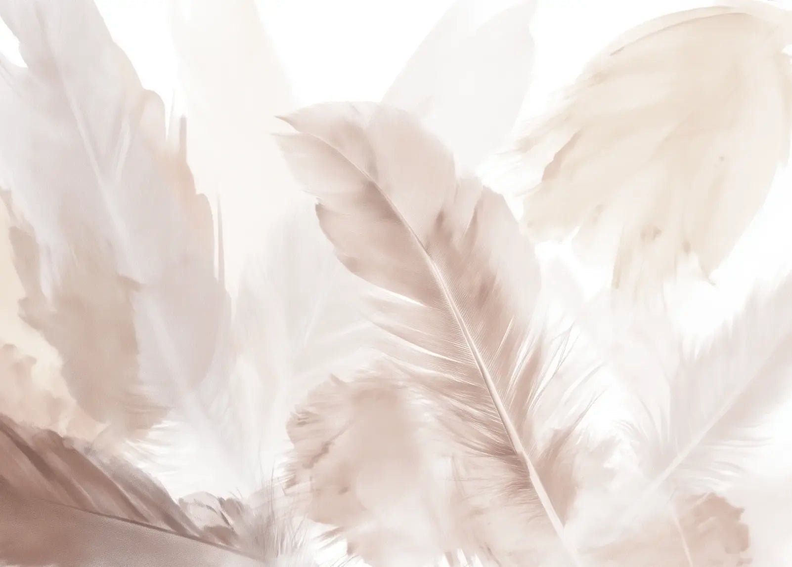 Douceur suspendue - Papier peint panoramique plumes pastel en nuances beiges - Illulart: Papier peint panoramique
