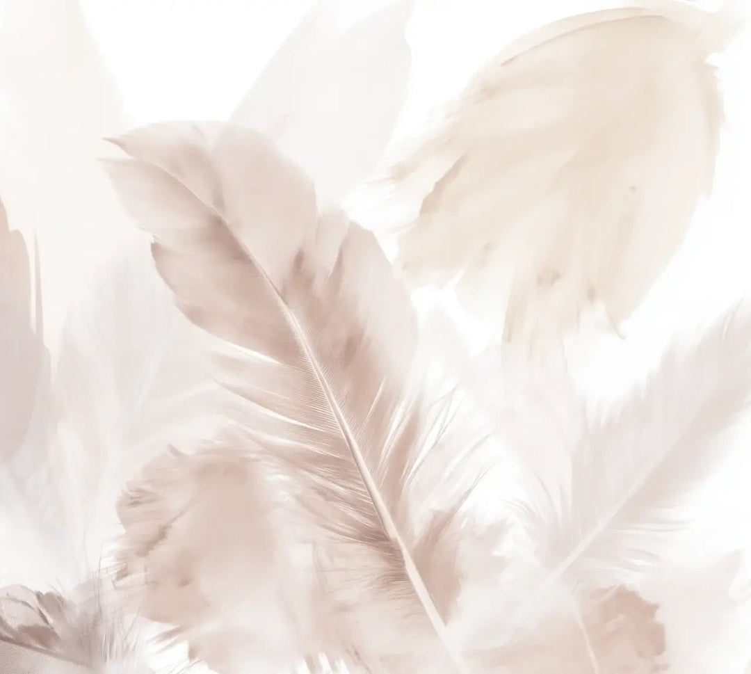 Douceur suspendue - Papier peint panoramique plumes pastel en nuances beiges - Illulart: Papier peint panoramique