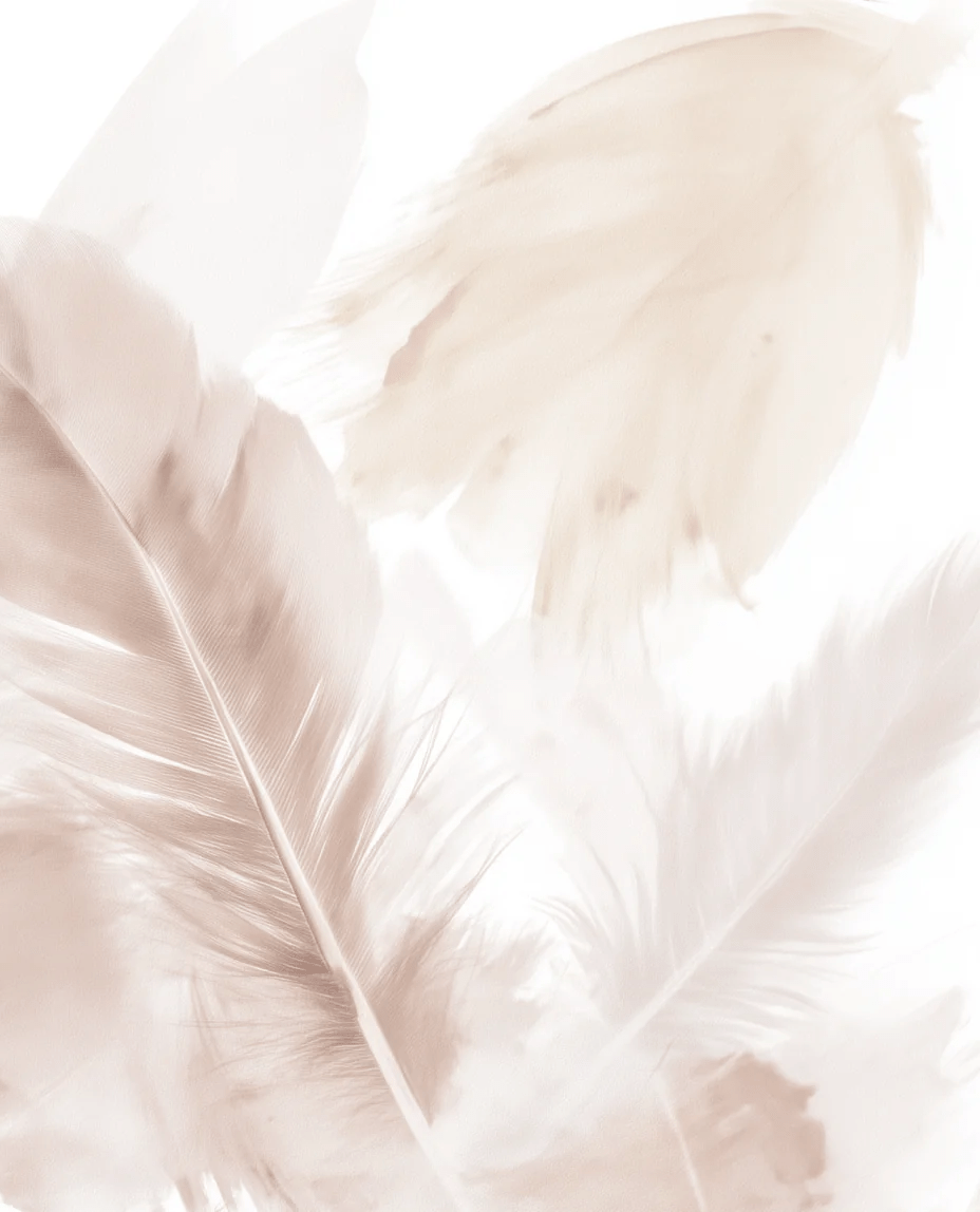 Douceur suspendue - Papier peint panoramique plumes pastel en nuances beiges - Illulart: Papier peint panoramique