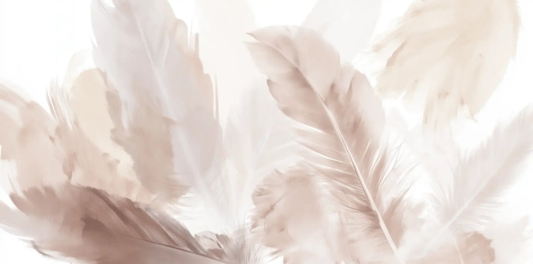Douceur suspendue - Papier peint panoramique plumes pastel en nuances beiges - Illulart: Papier peint panoramique