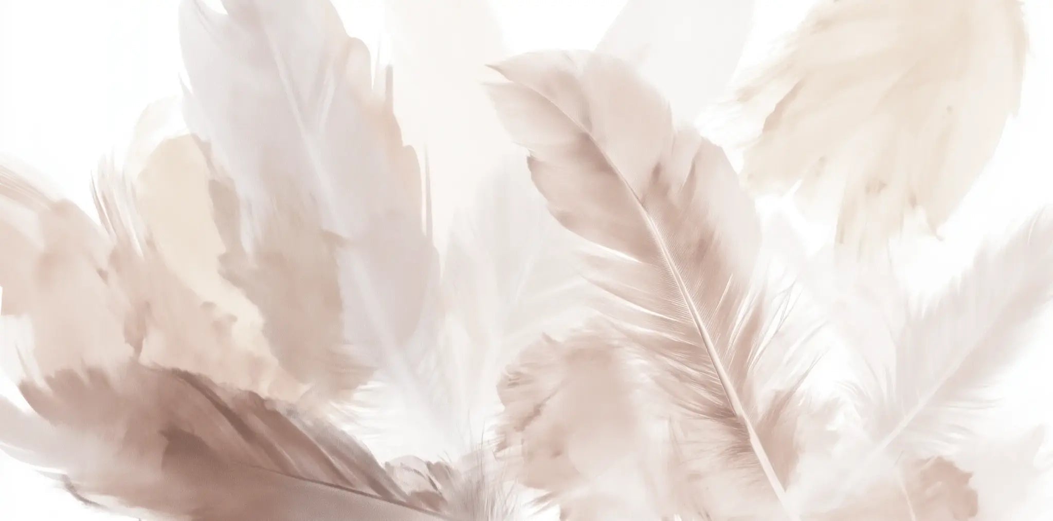 Douceur suspendue - Papier peint panoramique plumes pastel en nuances beiges - Illulart: Papier peint panoramique