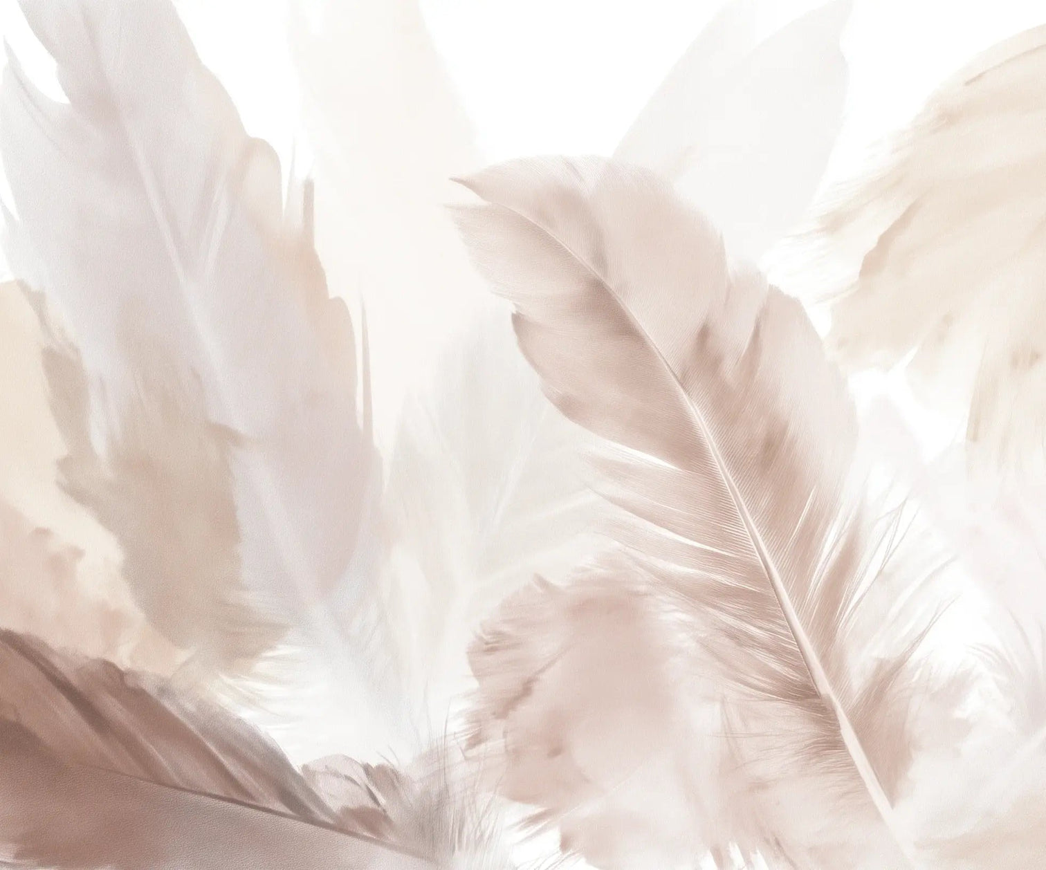 Douceur suspendue - Papier peint panoramique plumes pastel en nuances beiges - Illulart: Papier peint panoramique