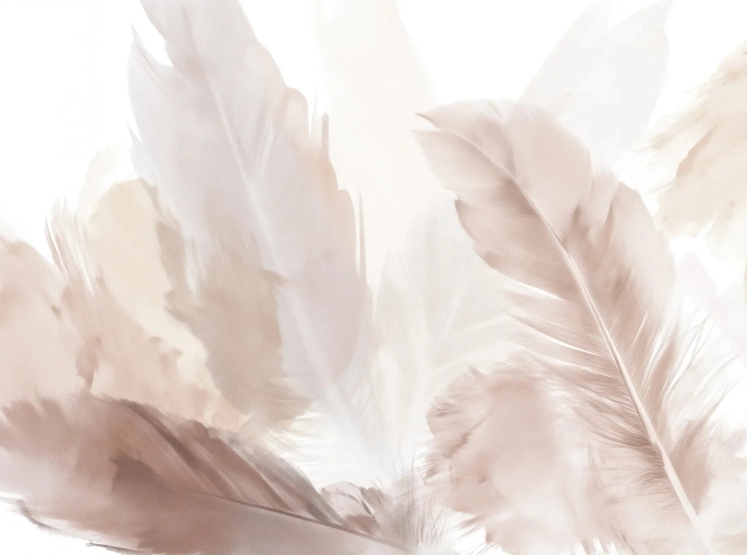 Douceur suspendue - Papier peint panoramique plumes pastel en nuances beiges - Illulart: Papier peint panoramique