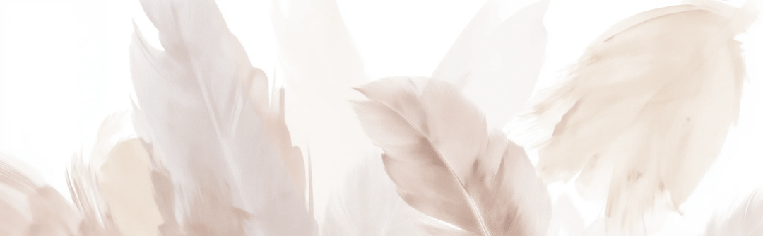 Douceur suspendue - Papier peint panoramique plumes pastel en nuances beiges - Illulart: Papier peint panoramique