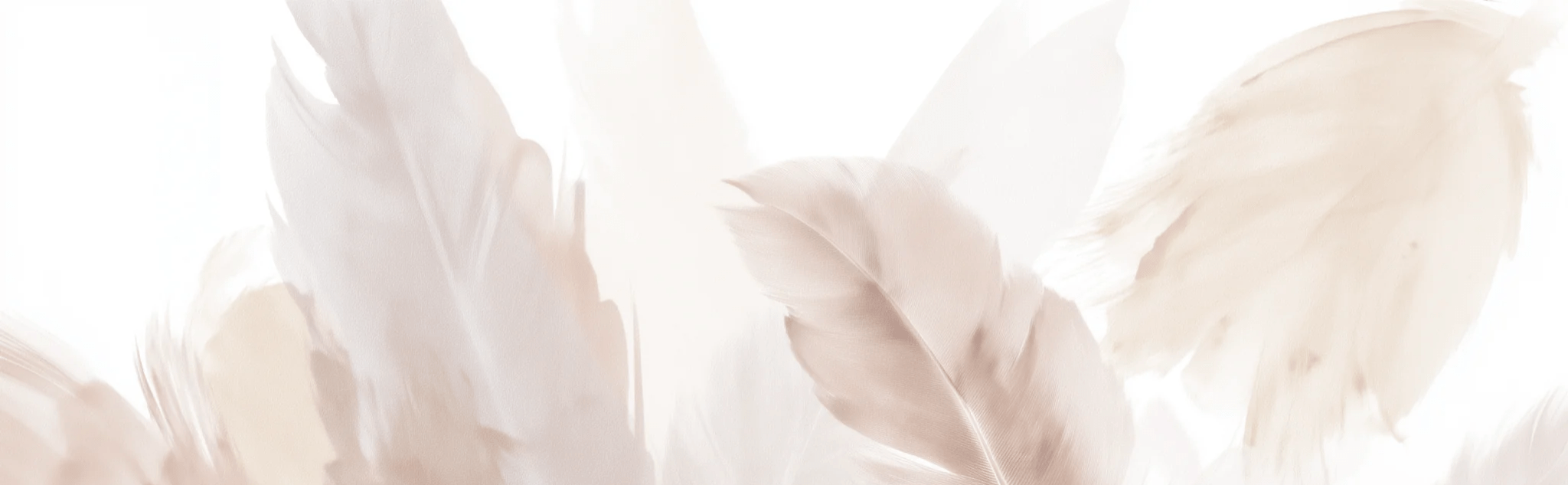 Douceur suspendue - Papier peint panoramique plumes pastel en nuances beiges - Illulart: Papier peint panoramique