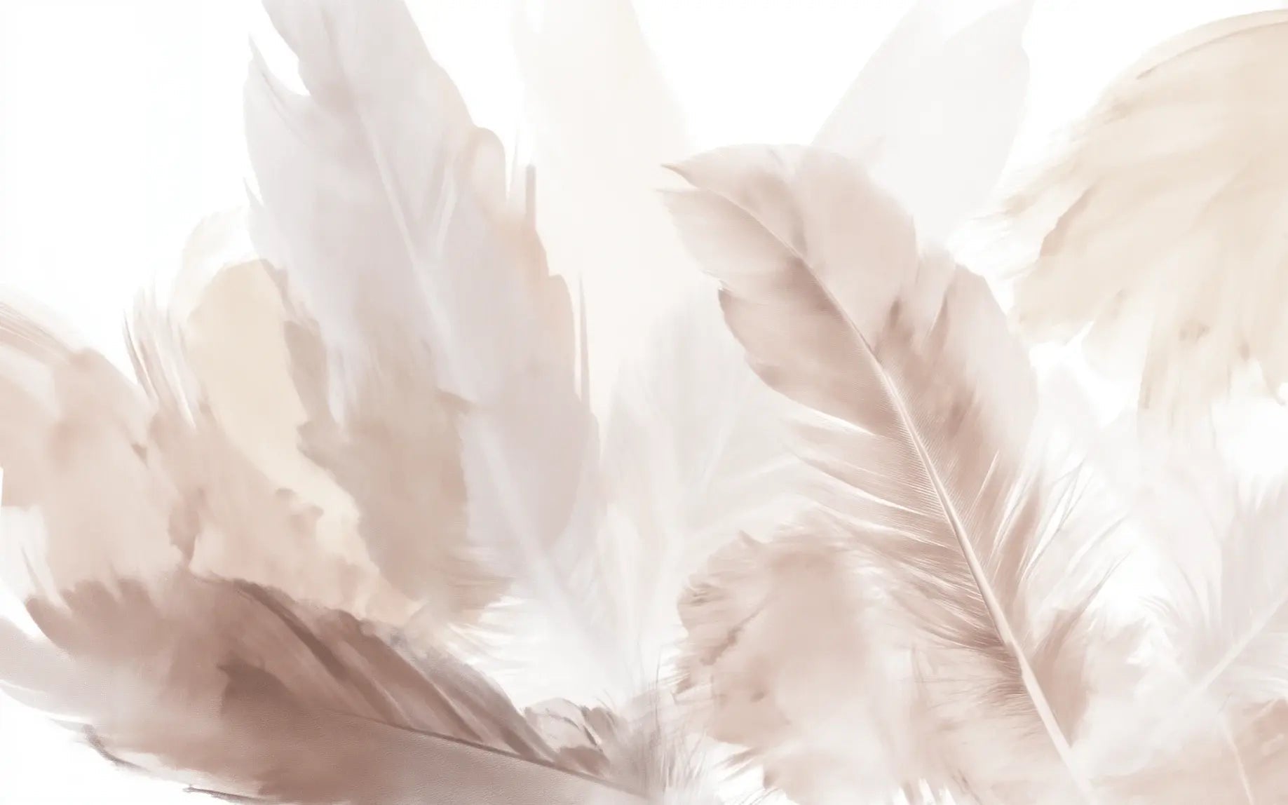 Douceur suspendue - Papier peint panoramique plumes pastel en nuances beiges - Illulart: Papier peint panoramique