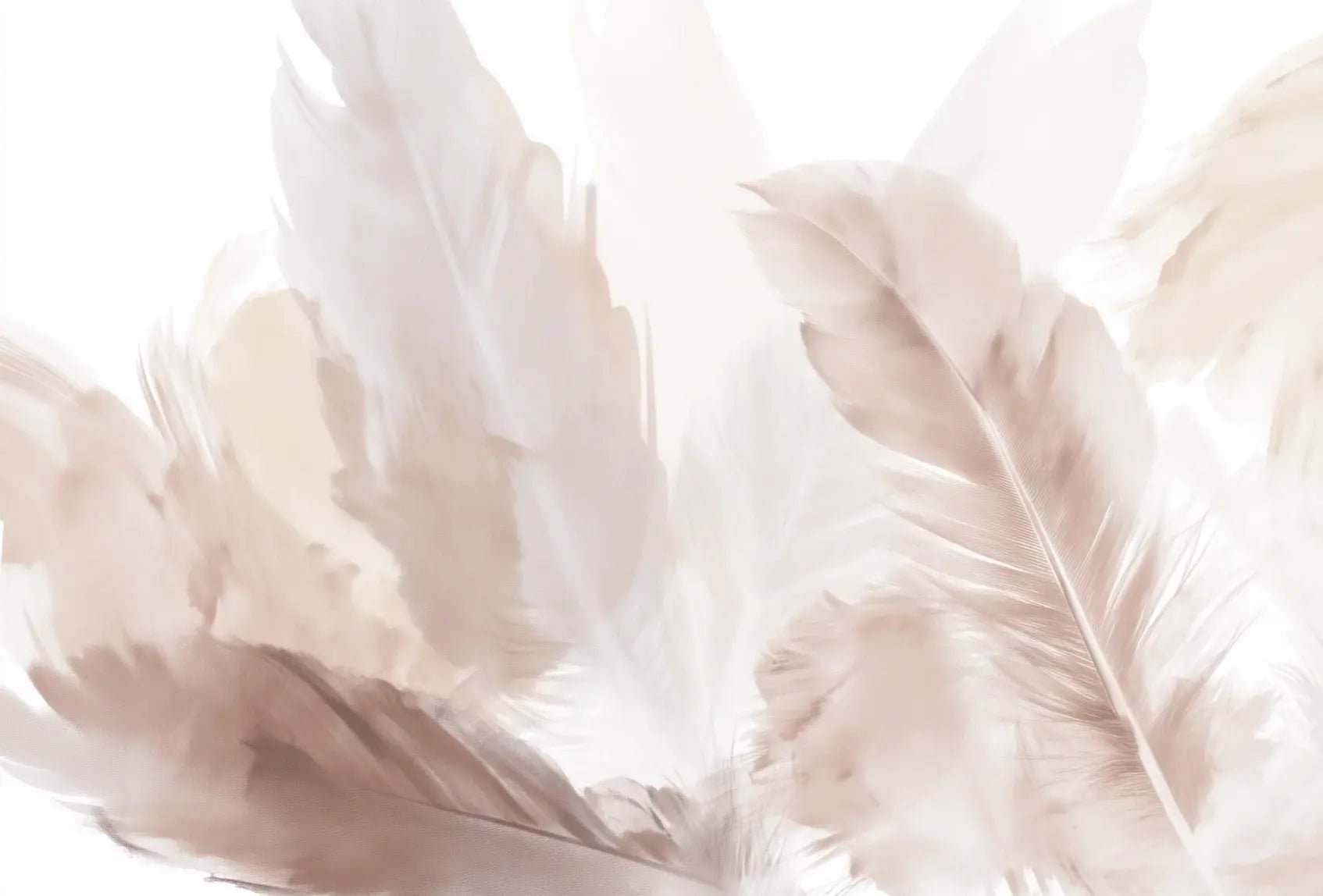 Douceur suspendue - Papier peint panoramique plumes pastel en nuances beiges - Illulart: Papier peint panoramique