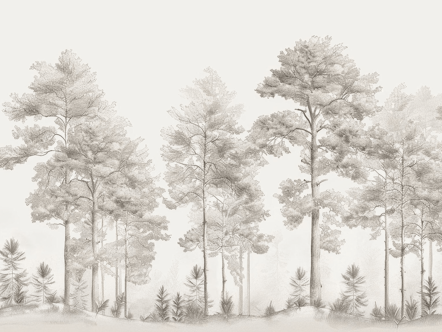 Douceurs des bois