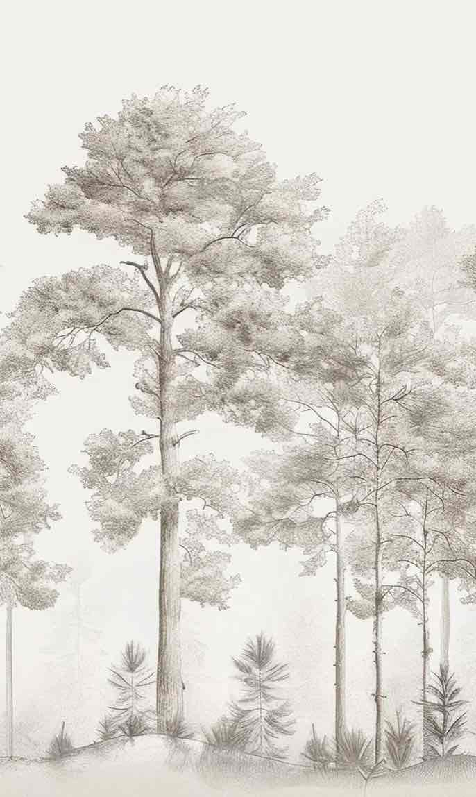 Douceurs des bois - Papier Peint Panoramique Arbres en Beige et Gris - Illulart: Papier peint panoramique