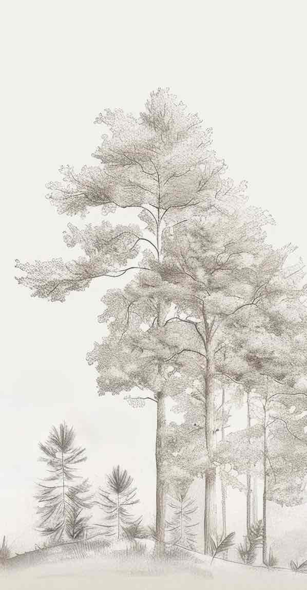 Douceurs des bois - Papier Peint Panoramique Arbres en Beige et Gris