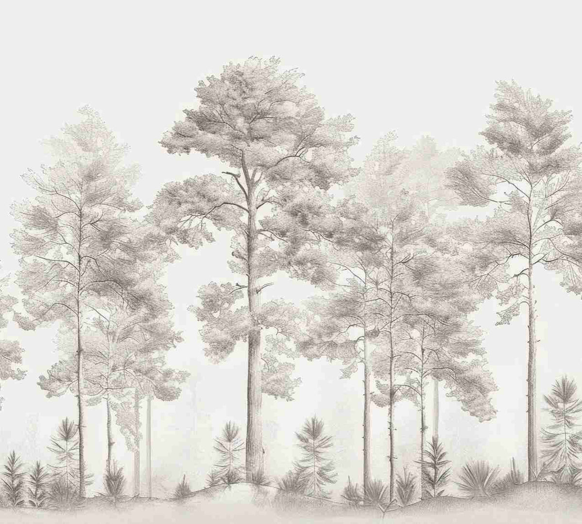 Douceurs des bois - Papier Peint Panoramique Arbres en Beige et Gris - Illulart: Papier peint panoramique