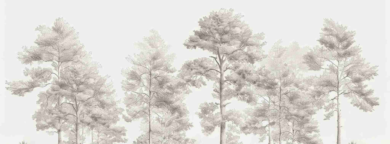 Douceurs des bois - Papier Peint Panoramique Arbres en Beige et Gris - Illulart: Papier peint panoramique