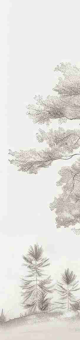 Douceurs des bois - Papier Peint Panoramique Arbres en Beige et Gris - Illulart: Papier peint panoramique