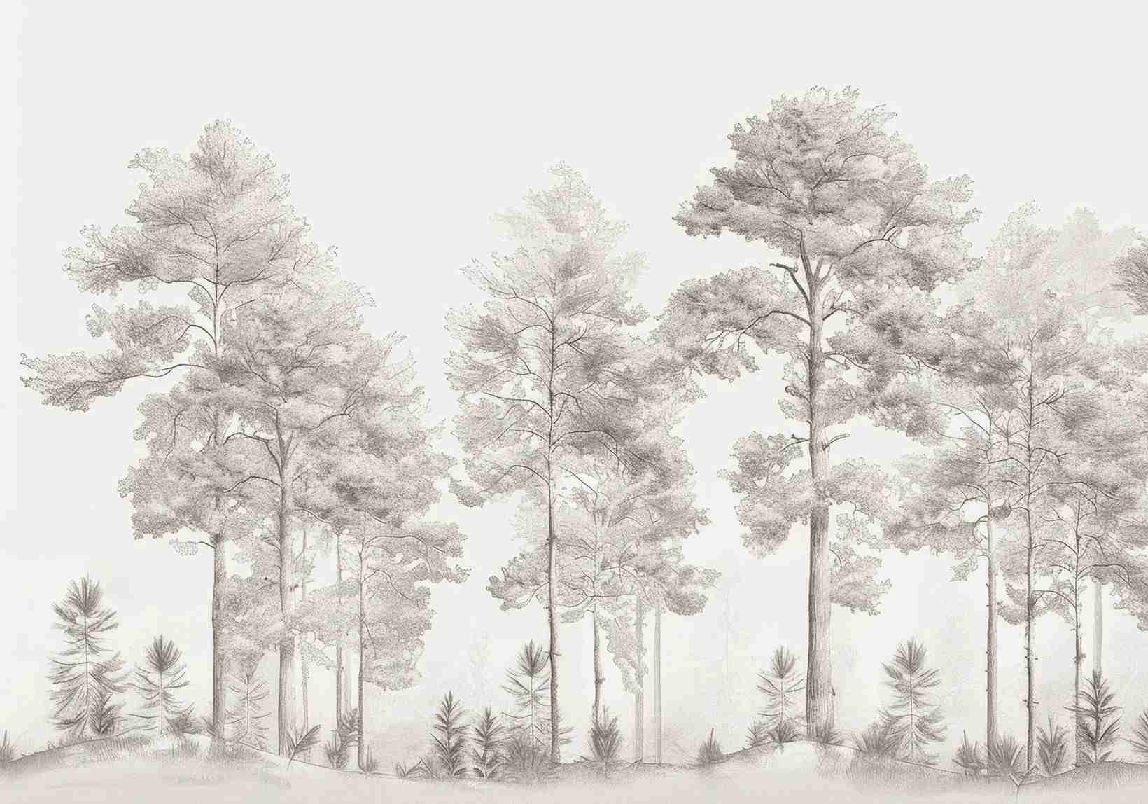 Douceurs des bois - Papier Peint Panoramique Arbres en Beige et Gris