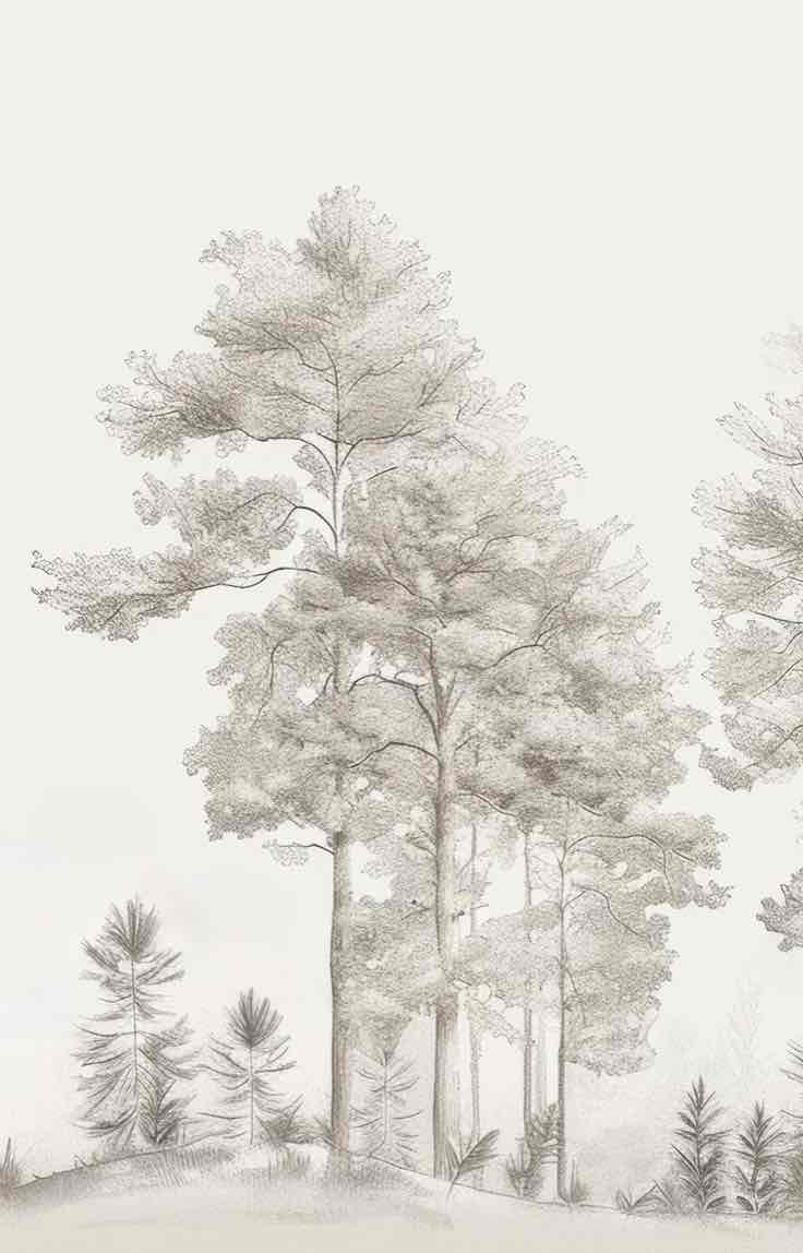 Douceurs des bois - Papier Peint Panoramique Arbres en Beige et Gris - Illulart: Papier peint panoramique