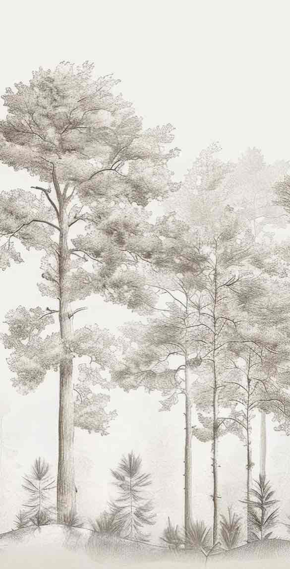 Douceurs des bois - Papier Peint Panoramique Arbres en Beige et Gris - Illulart: Papier peint panoramique