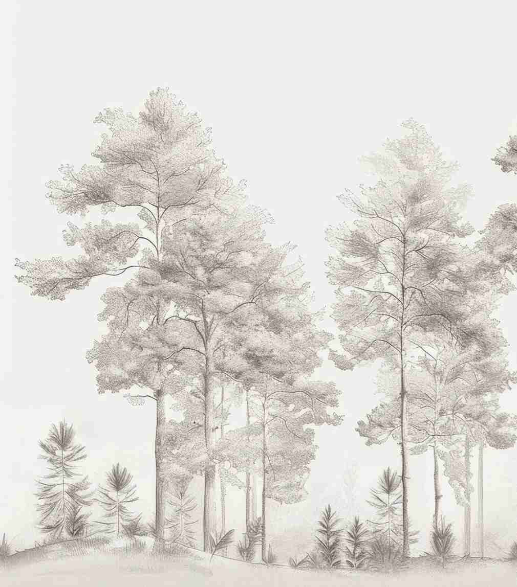 Douceurs des bois - Papier Peint Panoramique Arbres en Beige et Gris