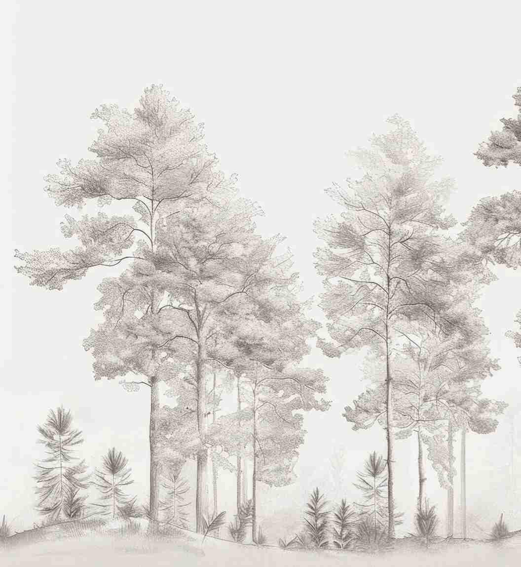 Douceurs des bois - Papier Peint Panoramique Arbres en Beige et Gris - Illulart: Papier peint panoramique