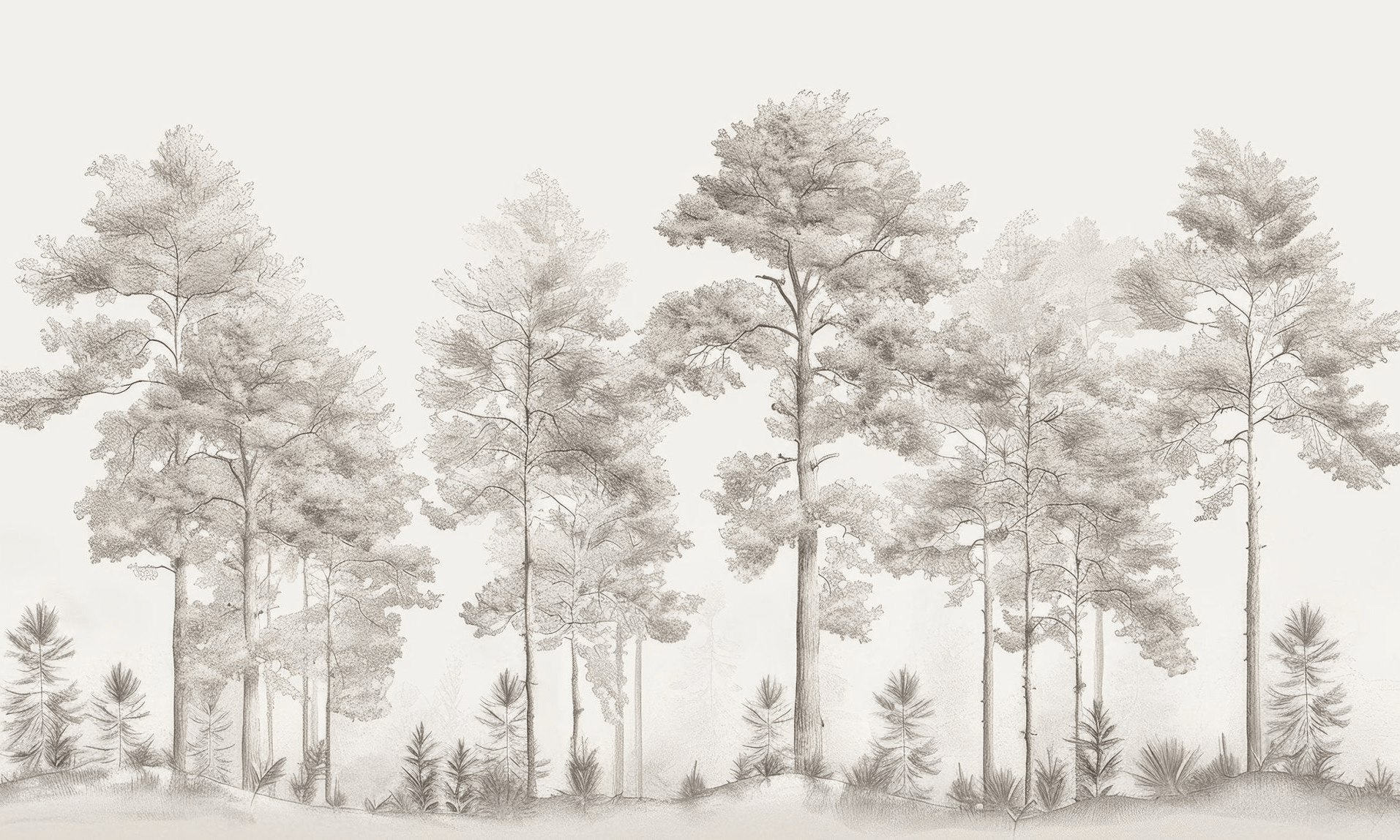 Douceurs des bois - Papier Peint Panoramique Arbres en Beige et Gris