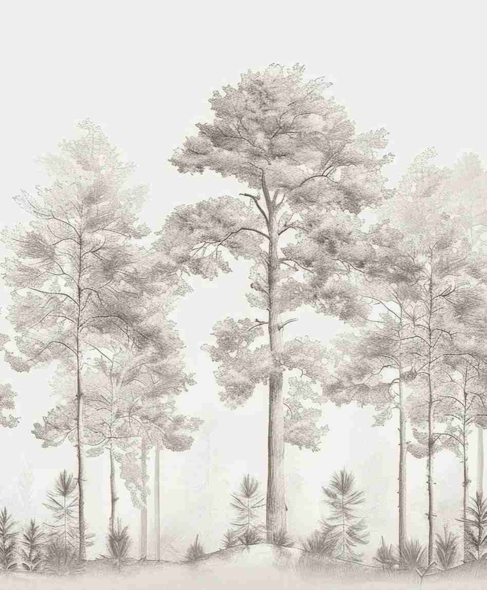 Douceurs des bois - Papier Peint Panoramique Arbres en Beige et Gris - Illulart: Papier peint panoramique