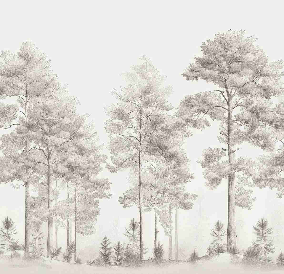 Douceurs des bois - Papier Peint Panoramique Arbres en Beige et Gris