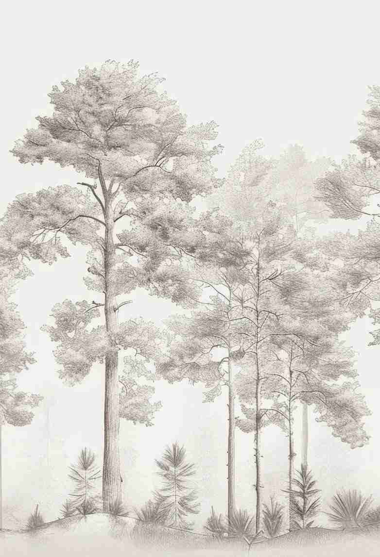 Douceurs des bois - Papier Peint Panoramique Arbres en Beige et Gris - Illulart: Papier peint panoramique