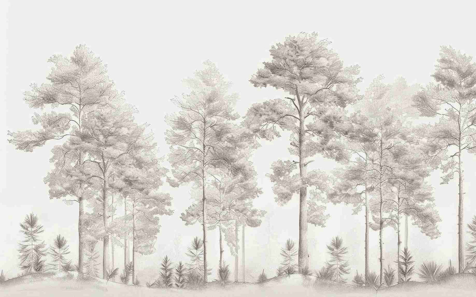 Douceurs des bois - Papier Peint Panoramique Arbres en Beige et Gris - Illulart: Papier peint panoramique