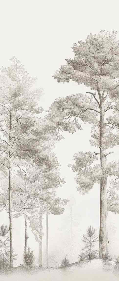 Douceurs des bois - Papier Peint Panoramique Arbres en Beige et Gris - Illulart: Papier peint panoramique