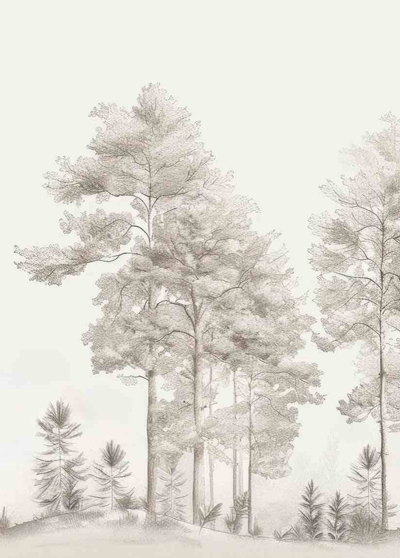 Douceurs des bois - Papier Peint Panoramique Arbres en Beige et Gris - Illulart: Papier peint panoramique