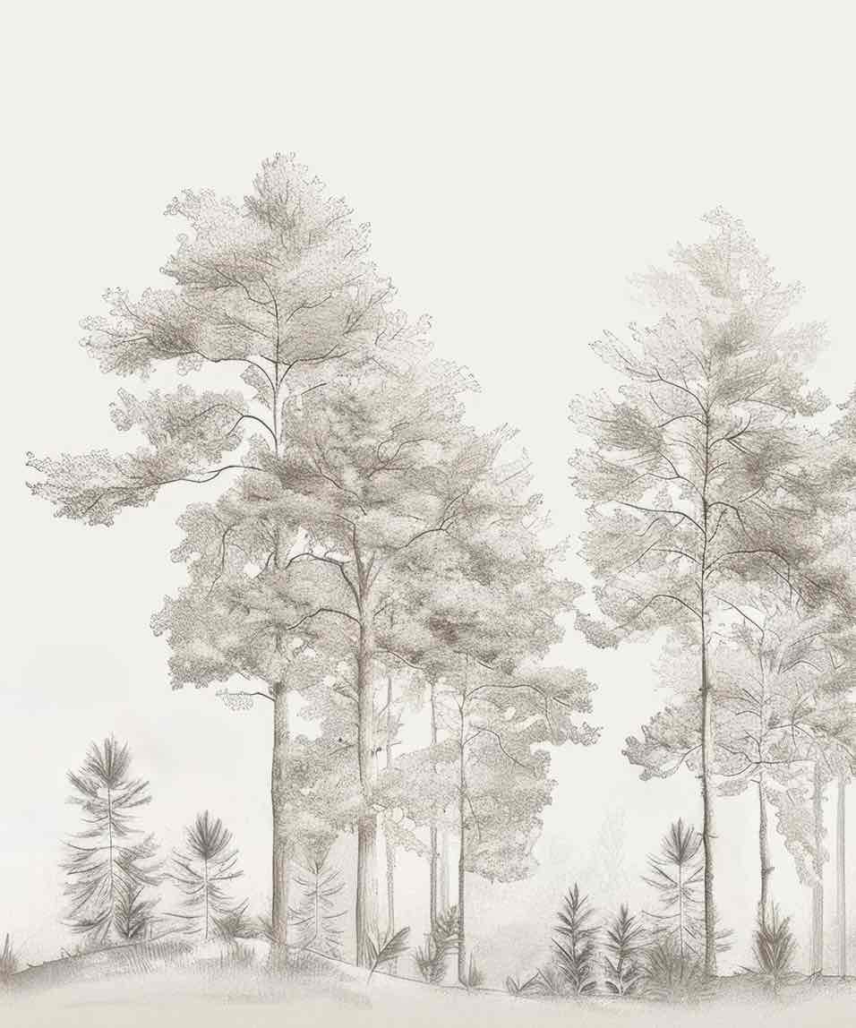 Douceurs des bois - Papier Peint Panoramique Arbres en Beige et Gris - Illulart: Papier peint panoramique