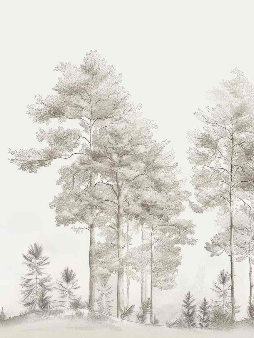 Douceurs des bois - Papier Peint Panoramique Arbres en Beige et Gris - Illulart: Papier peint panoramique