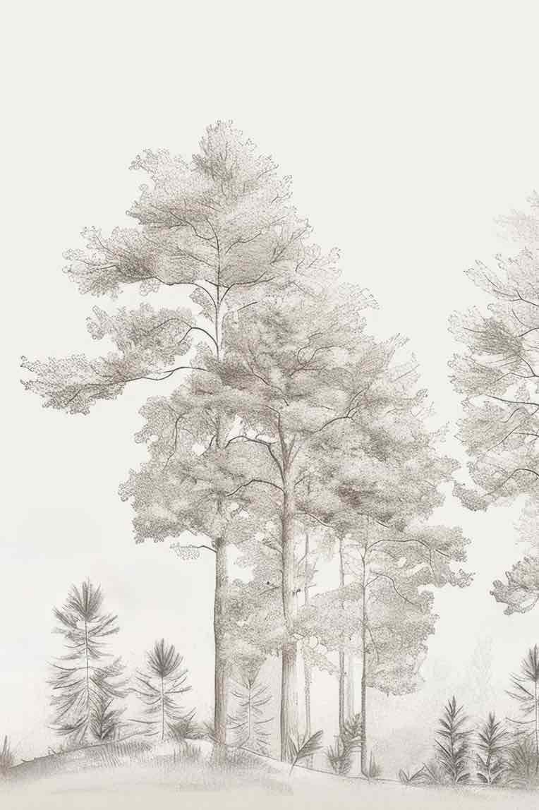 Douceurs des bois - Papier Peint Panoramique Arbres en Beige et Gris - Illulart: Papier peint panoramique